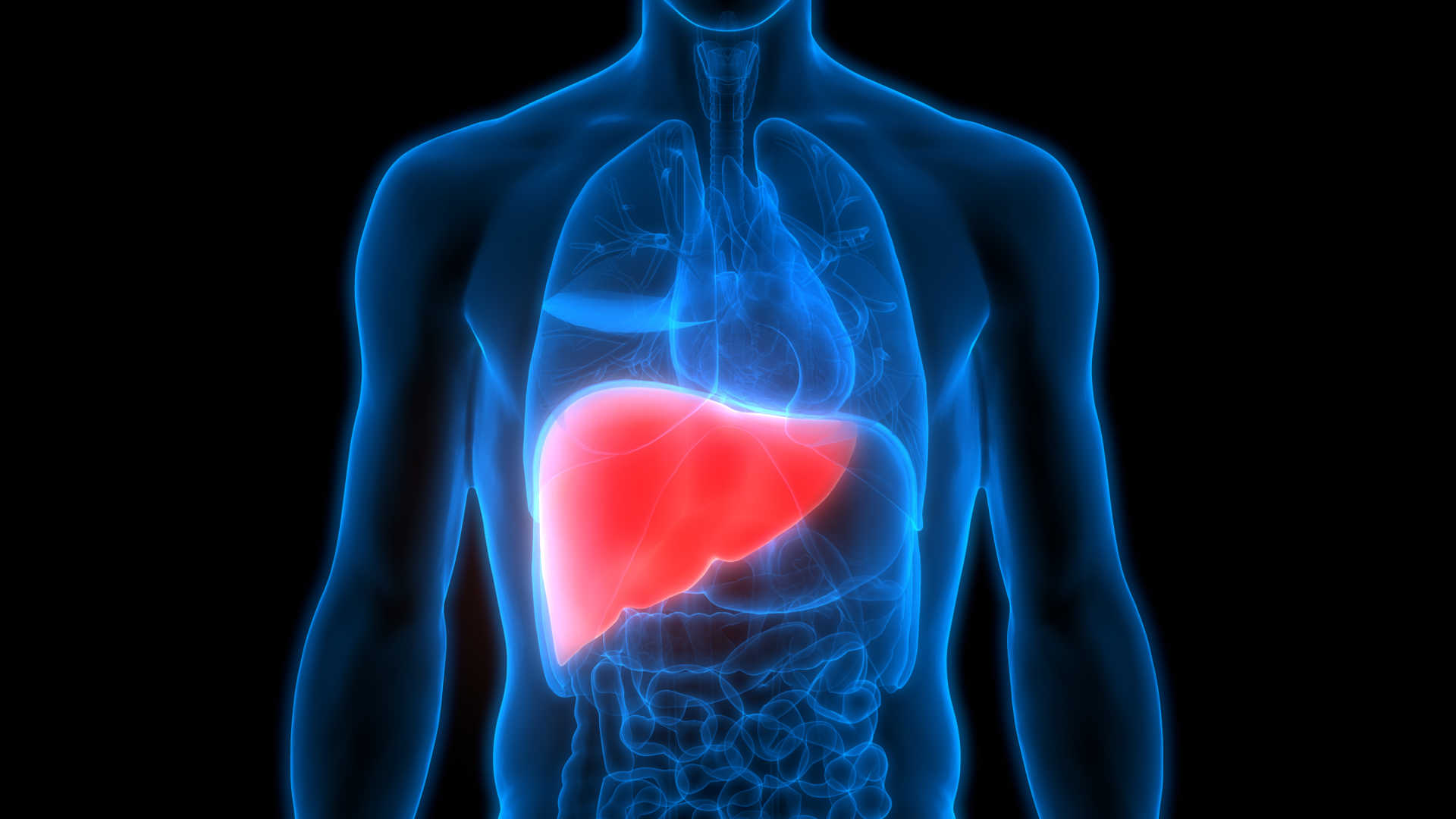 Sinais de alerta: saúde do fígado precisa de atenção