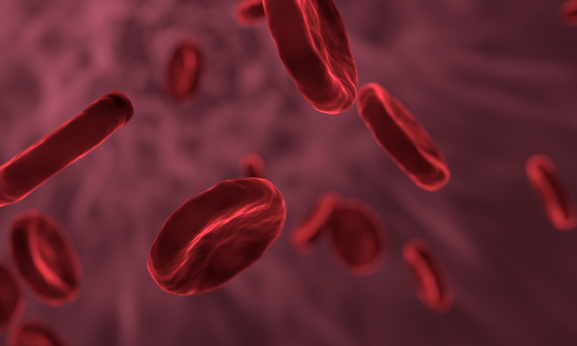 Principais sinais de anemia e exames necessários